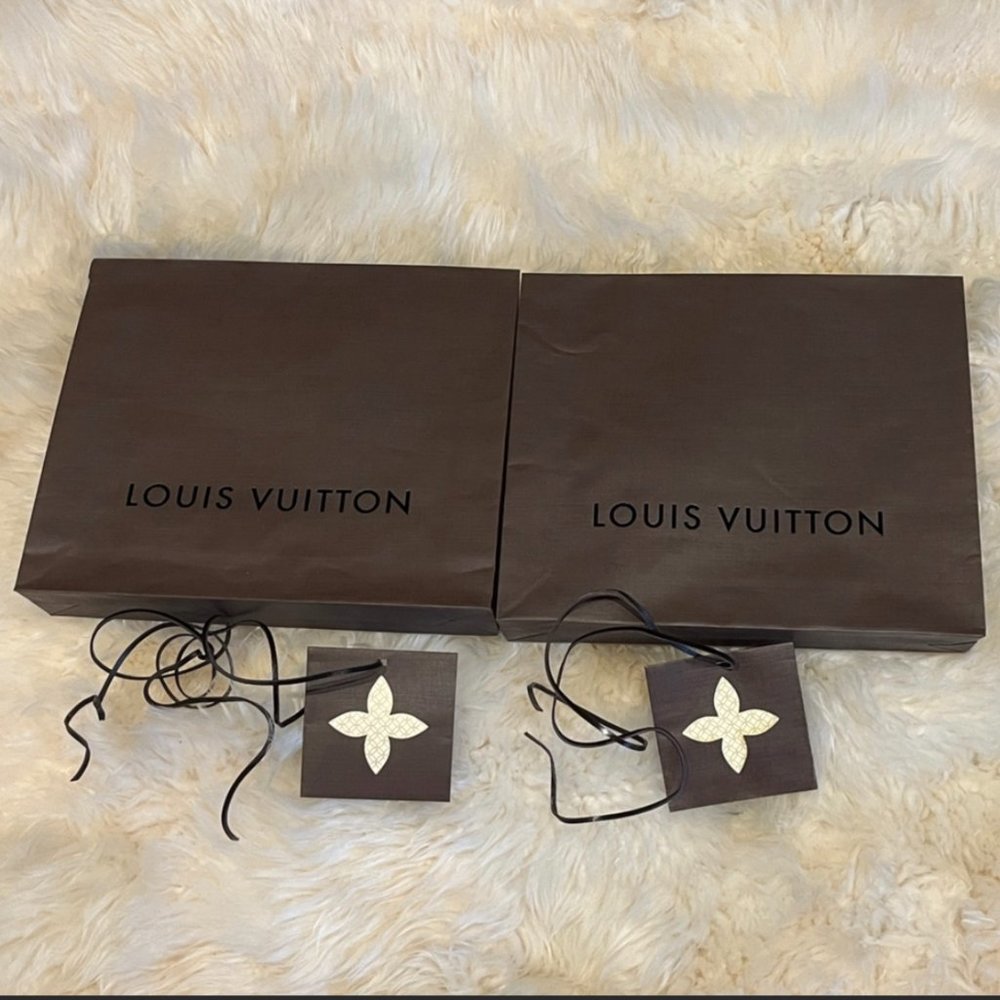 Set of 2 Louis vuitton envelop bag & 2 blank cards with leather strap Authentic